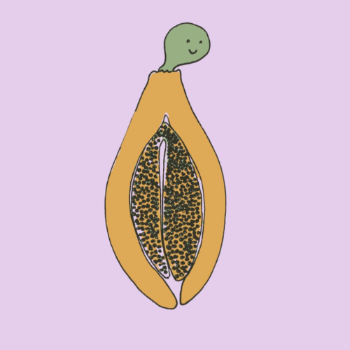 PAPAYA PROJECT